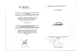  Oversea Trademarks Registration – EU registered